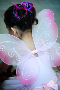 BD-Fairy-dsc_3887